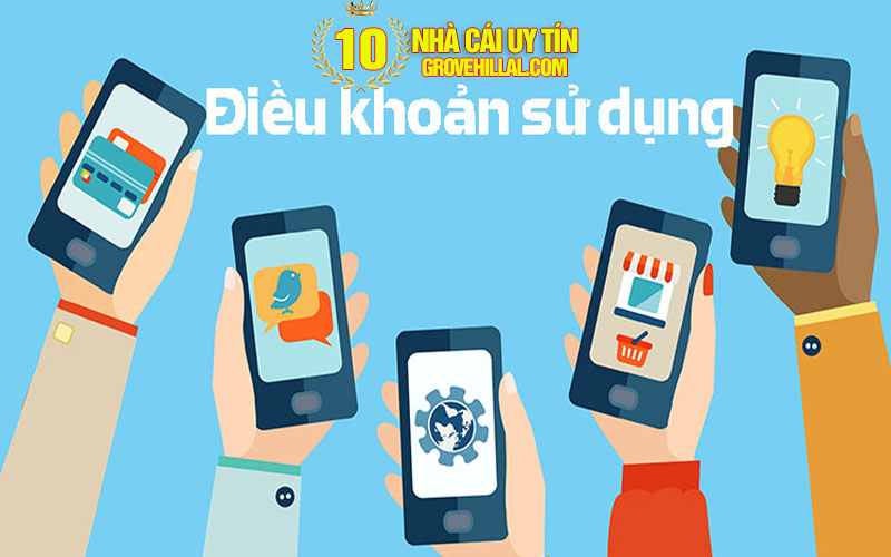 2 dieu khoan su dung thong tin Điều khoản sử dụng thông tin