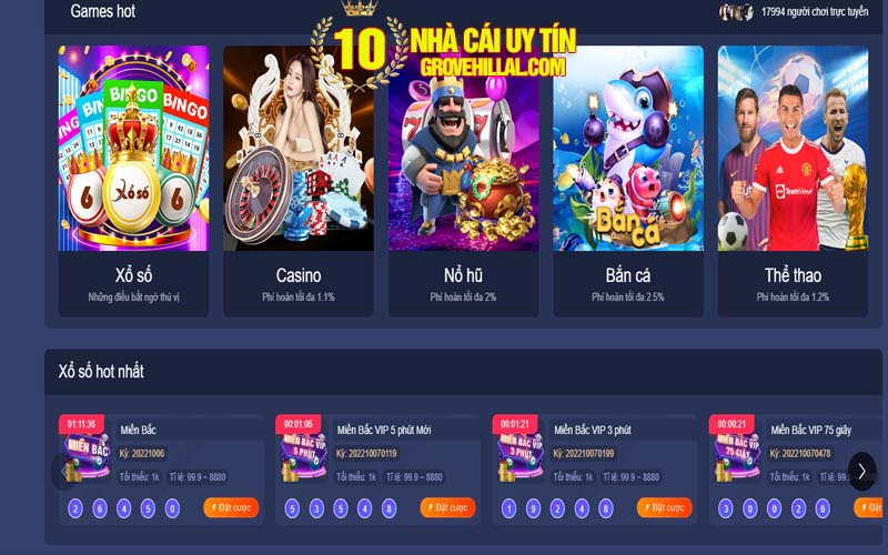 2 linh vuc cung cap Lĩnh vực cung cấp