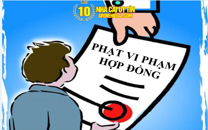 3 vi pham dieu khoan Vi phạm điều khoản
