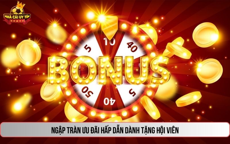 ngap tran uu dai hap dan danh tang hoi vien Ngập tràn ưu đãi hấp dẫn dành tặng hội viên